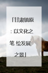 甘肃镇原：以文化之笔 绘发展之景